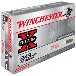 WINCHESTER CARTUS 243WIN.SUPERX.POINTED SOFT POINT.5,18G