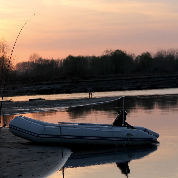 Barci, motoare, sonare