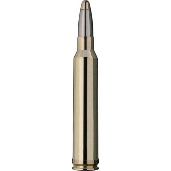 RWS 300 WIN MAG / EVOLUTION / 11,9G