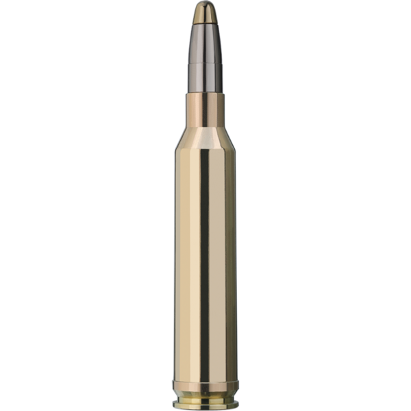 RWS 7MM REM MAG / EVOLUTION / 10,3G