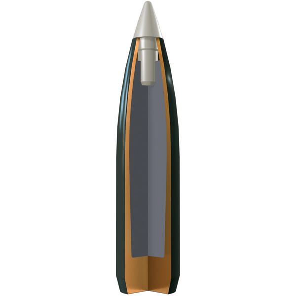 WINCHESTER 300 WIN MAG / BALLISTIC SILVERTIP / 11,66G