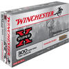 WINCHESTER 300 WIN MAG / POWER-POINT / 11,66G