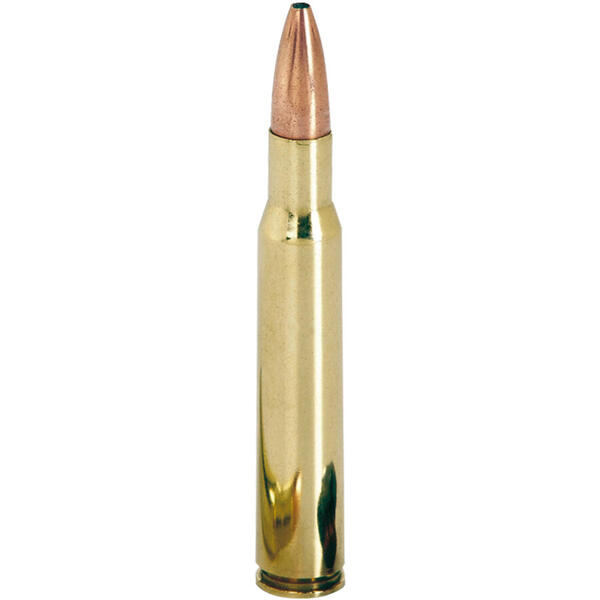 WINCHESTER 300 WIN MAG / POWER-MAX BONDED / 11,66G