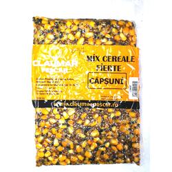 MIX CEREALE CAPSUNI 1KG