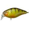 SENSAS XX VOBLER ILLEX CHUBBY 3,8CM/4G PERCH