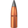 WINCHESTER 300 WIN MAG / EXTREME POINT / 9,72G