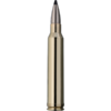 RWS 300 WIN MAG / SPEED TIP PRO / 10,7G