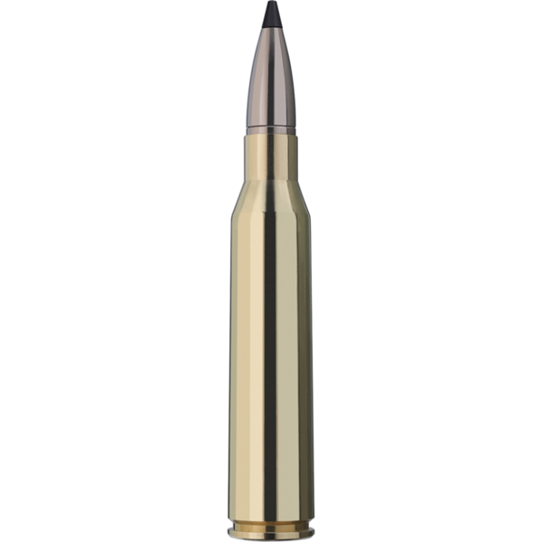 RWS 338 LAPUA MAGNUM / SPEED TIP PRO / 16,2G