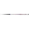 DAIWA TELESCOPICA.COMPASS MOBILE CARBON 6,00M