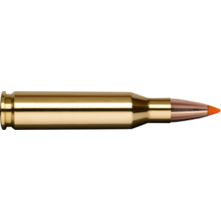 CARTUS 243WIN/TIPSTRIKE VARMINT/4,9G