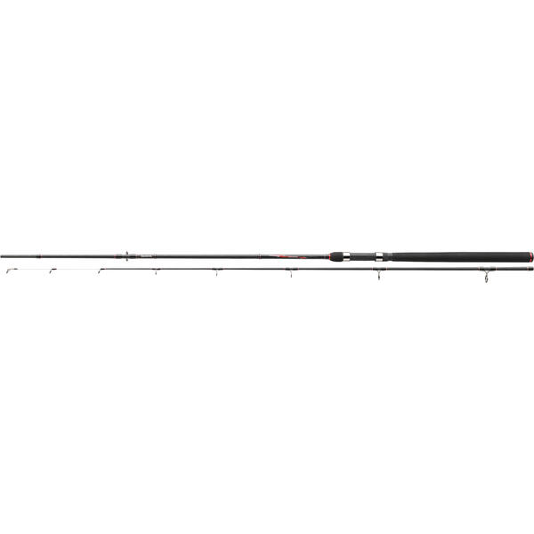 LANSETA SPINNING DAIWA 2BUC.CROSSFIRE EEL 2,70M/30-95G