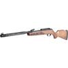 arma aer comprimat GAMO CARABINA AER TIR SPORTIV HUNTER MAXXIM IGT 5,5MM