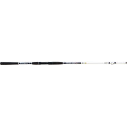 lanseta LINEAEFFE FF BOAT MASTER EXTR. DEEP 2BUC/2,50M/80-200G