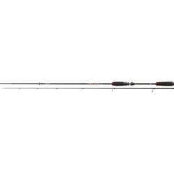 LANSETA SPINNING DAIWA 2BUC. CROSSFIRE SPIN 2,70M/40-100G