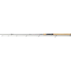 XX LANS.DAIWA 2BUC.SWEEPFIRE SPIN 2,70M/30-70G