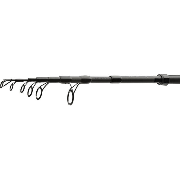 LANSETA DAIWA CROSSCAST TELE CARP 3,00M/2,75LBS