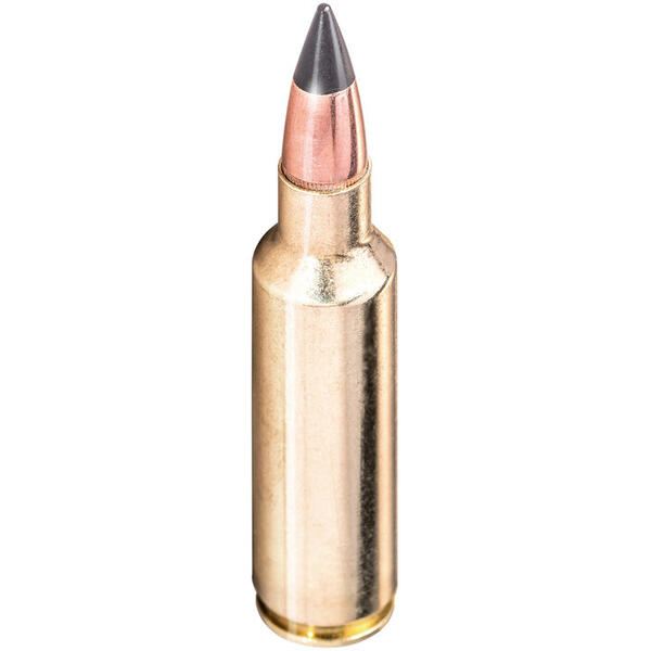 WINCHESTER 6,5CREEDMOOR DEER SEASON/8,1G