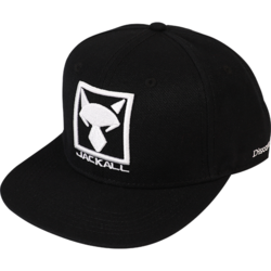 SAPCA SQUARE LOGO  BLACK