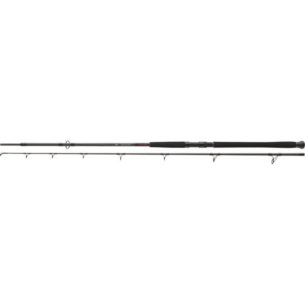 lanseta DAIWA 2BUC.EXCELER CATFISH BOJE 2,70M/200-600G