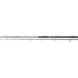 lanseta DAIWA 2BUC.EXCELER CATFISH BOJE 3,00M/200-600G