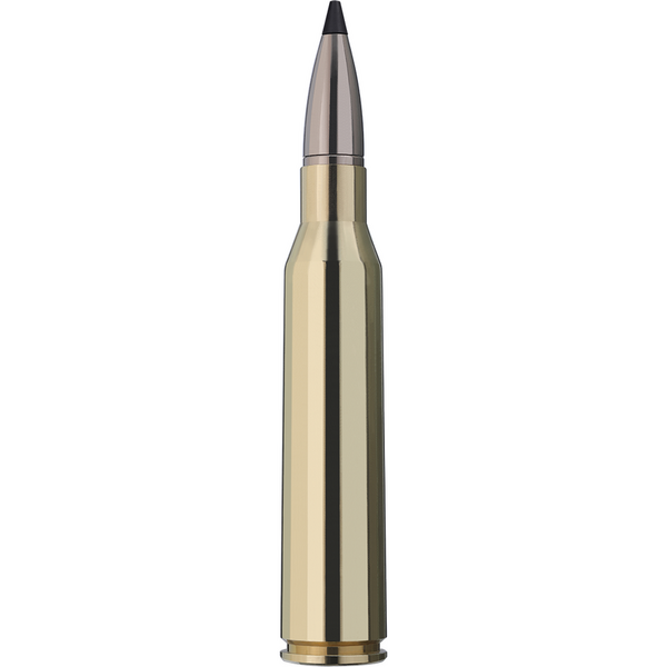 RWS 338 LAPUA MAGNUM/SPEED TIP PROFESSIONAL/16,2G