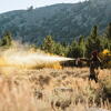 SABRE SPRAY AUTOAPARARE FRONTIERSMAN ANTI-URS 234ML - DISTANTA PULVERIZARE 12M