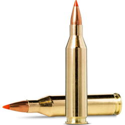 CARTUS 243WIN/HORNADY V-MAX/3,76G