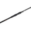 LANSETA ARROW INT. 2BUC F5 MAX CARP 3,90M/3,5LBS