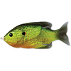 LIVE TARGET HOLLOW BODY SUNFISH WALKING BAIT 7,5CM/12G FLOATING FLORESCENT/PUMP