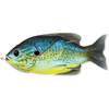 LIVE TARGET HOLLOW BODY SUNFISH WALKING BAIT 7,5CM/12G FLOATING BLUE/YELLOW PUMP