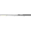 LANSETA SPINNING CORMORAN 2BIC. TOPFISH 2,100M/50-100G