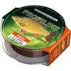 CORMORAN PROFILINE CARP 028MM/6,6KG/450M