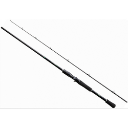 2BUC.CURADO CASTING EXTRA FAST 2,13M/10-30G