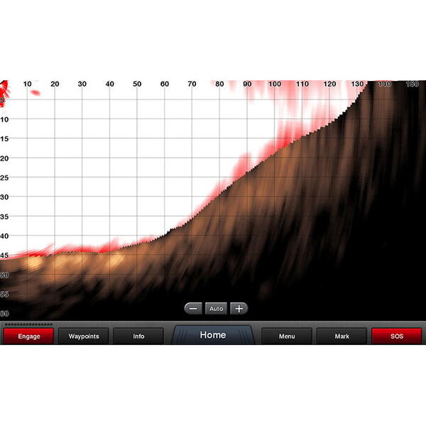 GARMIN PANOPTIX PS21-TM