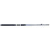 lanseta LINEAEFFE 2BUC CASPIAN PRO ROD 2,10M/100-250G