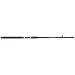 2BUC CASPIAN PRO ROD 2,10M/100-250G