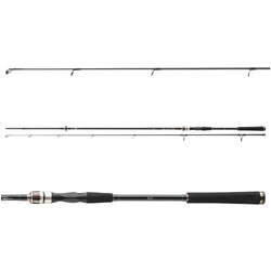 LANSETA SPINNING DAIWA 2BUC.EXCELER SPIN 2,70M/10-40G