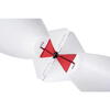FOX RACHETA NADIRE LARGE-X WHITE SPOMB