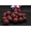DUDI BAIT BOILIES TARI FOREST SQUID 16MM 1KG