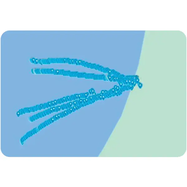 DEEPER SONAR SMART CHIRP+ 3.0 FLDP47