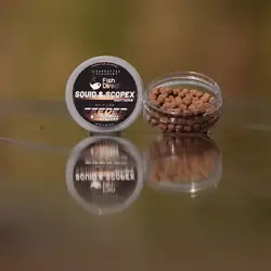 WAFTERS DUMBELL FORGETTEN FLAVOURS SQUID&SCOPE 6MM