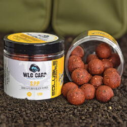 BOILIES WLC SOLUBIL DE CARLIG EXXTRA FLAVOUR SPP 24MM/120G