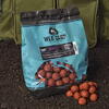 BOILIES WLC FIERT SPP 24MM/1KG