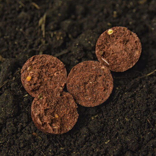 BOILIES WLC FIERT OCTO SQUID FRUITS M 20MM/1KG