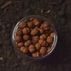 MINI COCOON BOILIES NO.1 FISHMEAL 6x9MM/40G