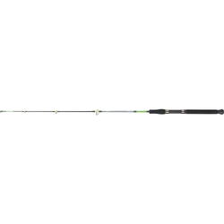 2BUC.SENSOR BOAT 242 HS 2,4M/100-200G