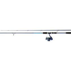 COMBO DAIWA 2BUC DWAVE 2BUC 2,10M/14-42G+MUL.DWAVE 190MX025MM