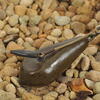 PLUMB KORDA DISTANCE LEAD 84G