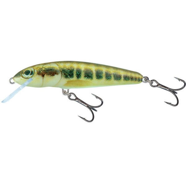 SALMO Fishing VOBLER MINNOW 7CM/6G MINNOW