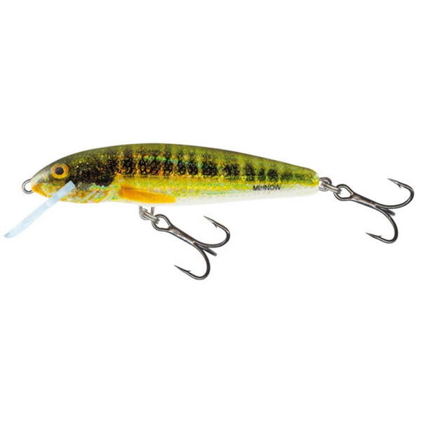 SALMO Fishing VOBLER MINNOW 7CM/6G HOLO REAL MINNOW